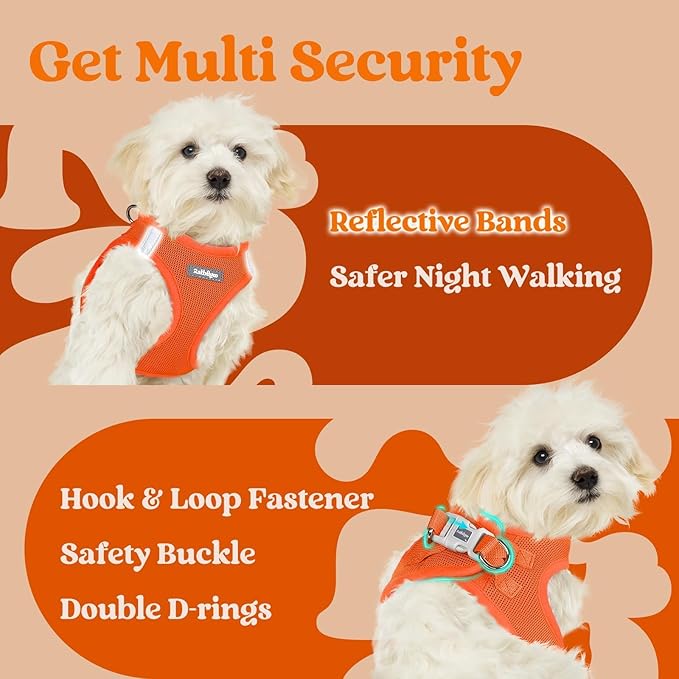 rabbitgoo Small Dog Harness, Step-in Soft Mesh Puppy Vest with Safety Buckle, Breathable Reflective Pet Harness for Small Medium Dogs, Orange XL