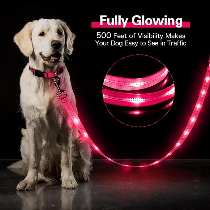 Dolitego Light Up Dog Leash, 5 Ft LED Dog Lead Rechargeable Glow in The Dark Pet Leashes Safety Dog Lights for Night Walking (Pink)