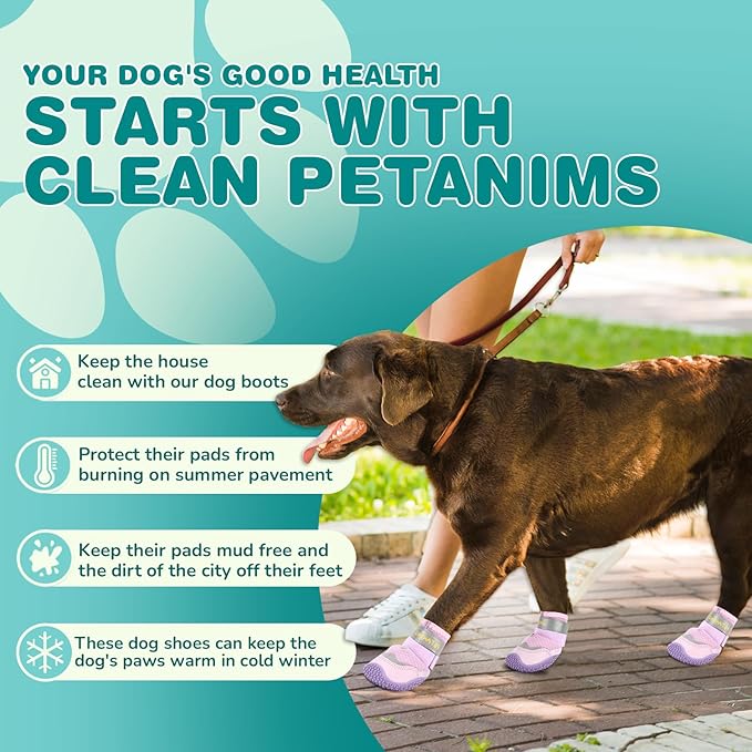 Dog Shoes for Small Dogs, Medium Dog Boots & Paw Protectors for Winter Snow, Breathable Dog Booties for Hot Pavement, Hardwood Floors Purple Size 1