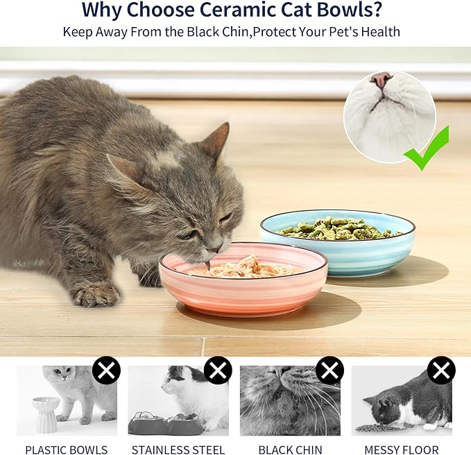 Selamica Ceramic Cat Food Bowl, 5.6 Inch Wide Shallow Cat Bowls/Dishes for Food and Water, Whisker Friendly, Set of 6, Gradient Colors