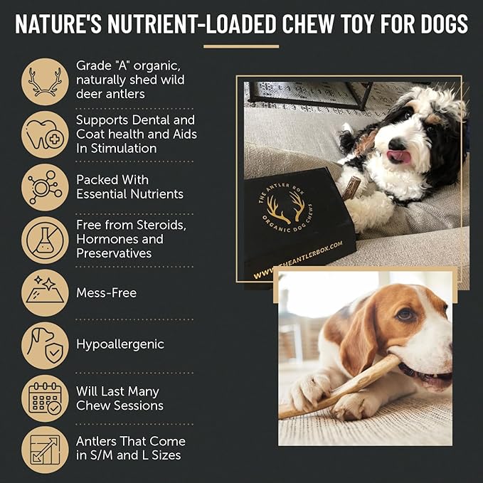 The Antler Box Premium Deer Antler Dog Chews (1 lb Bulk Pack) (X-Large (2 Antlers)