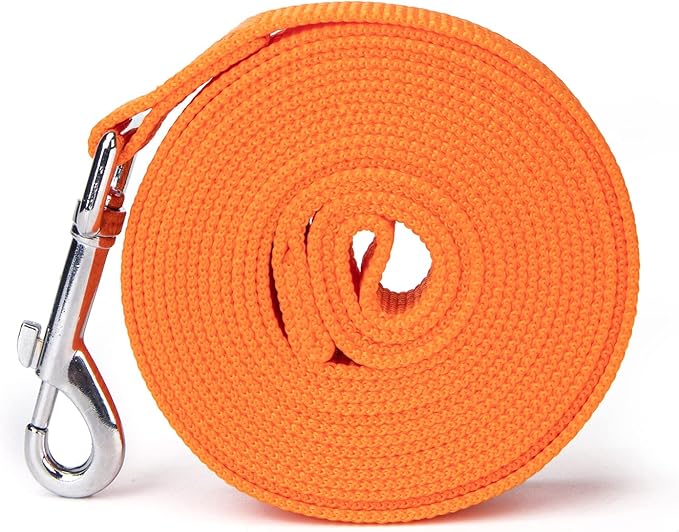 Siumouhoi Strong Durable Nylon Dog Training Leash, 1 Inch Wide Traction Rope, 6 ft 10ft 15ft Long, for Small and Medium Dog (Orange, 10 Feet)
