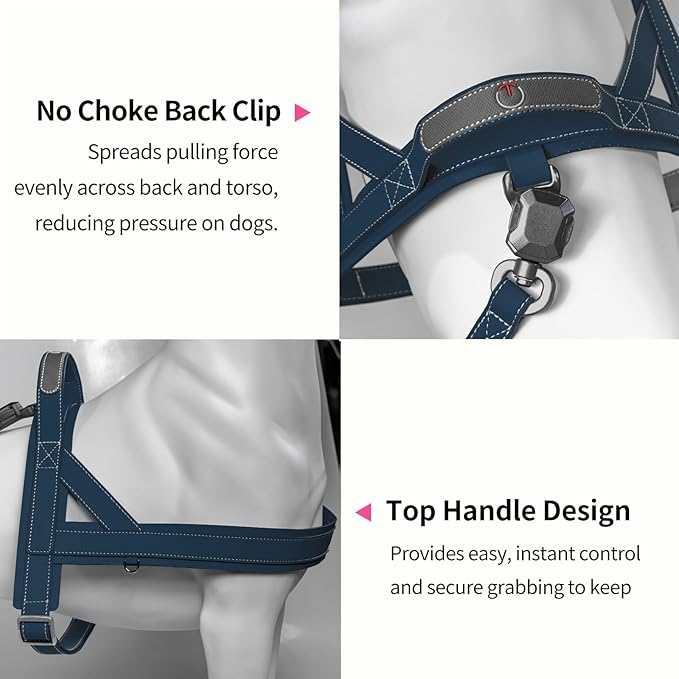 Magnetic Quick-Release Buckle Dog Harness and Leash Set, Easy Walk Faux Leather Puppy Harness, Easy On & Off Dog Vest with Handle for Medium, Large Girl Boy Dogs for Hiking Training, Blue, XL
