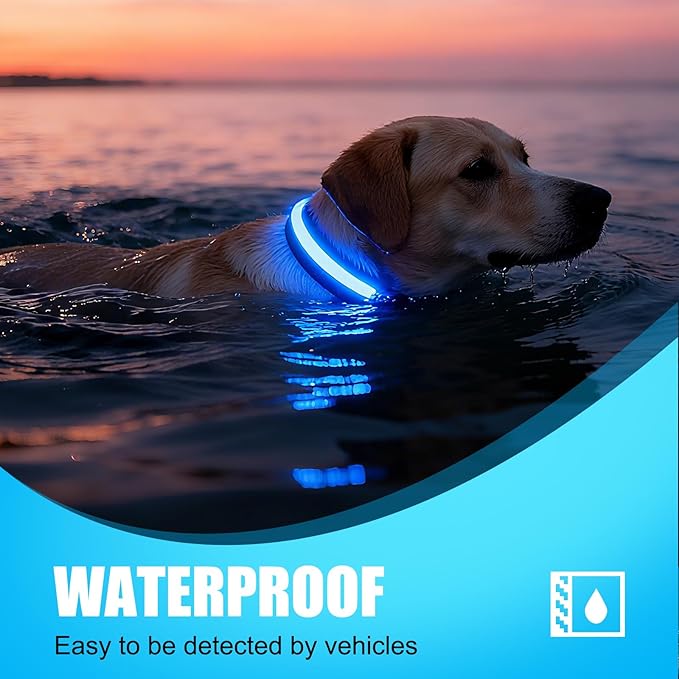 LED Dog Collar Rechargeable- Brightest Light Up Dog Collars - 1,600 Feet of High Visibility - Magnetic Charging - Glow in Dark Dog Lights for Night Walking, Blue M