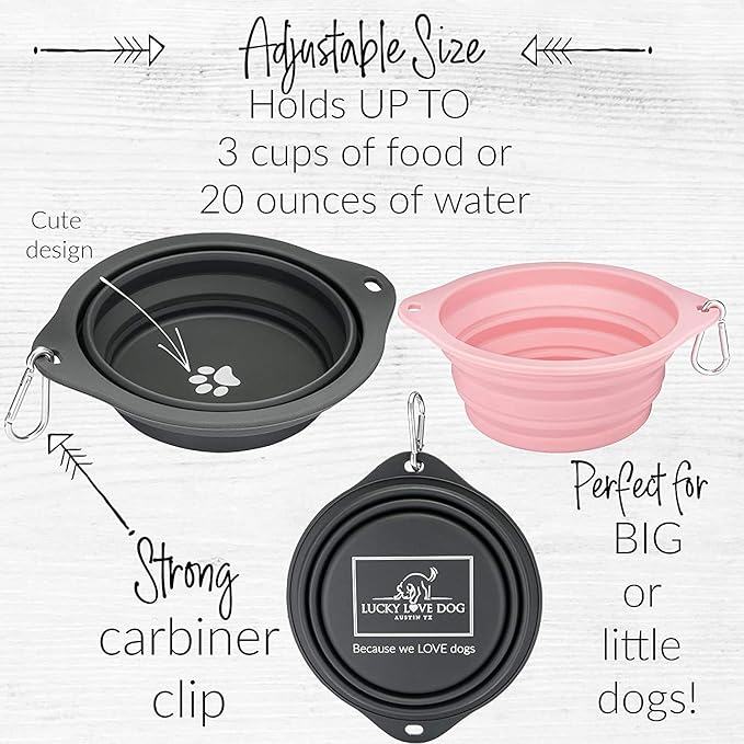 Lucky Love Dog Travel Bowl, Collapsible Compact Water Dog Dish (Grass)
