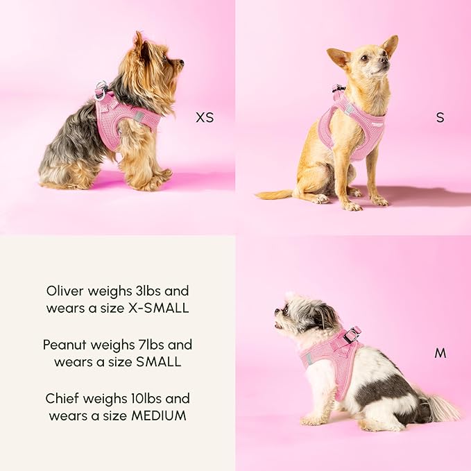Downtown Pet Supply Step-in Dog Harness – No Pull, Adjustable Padded Mesh with Reflective Trim, Secure Buckle Strap – Comfortable & Breathable Small Dog Harness, Small, Baby Pink