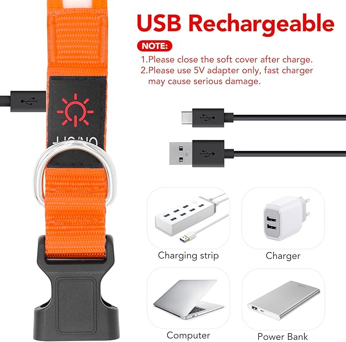 Vizpet LED Dog Collar, Light Up Dog Collar Adjustable USB Rechargeable Super Bright Safety Light Glowing Collars for Small Dogs(Small,Orange)