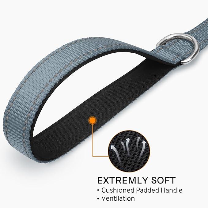 Joytale Double-Sided Reflective Dog Leash, 6 FT/5 FT/4 FT, Padded Handle Nylon Heavy Duty Leashes for Medium & Large Dogs Walking, Gray, 5FT