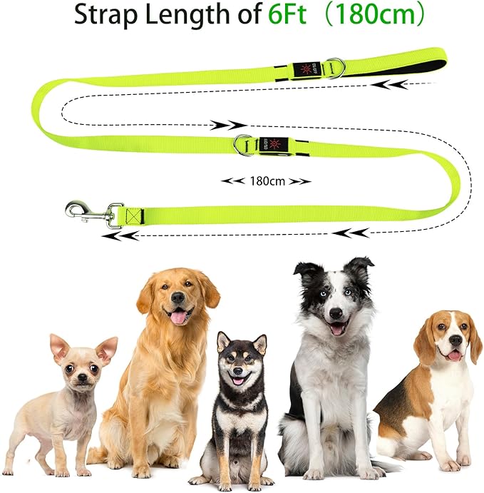 Dlitk Light Up Dog Leash, 6 Ft LED Leashes Rechargeable, Nylon Reflective Lead with Padded Handle for Night Walking, Safety Glow Lights for Large Medium Small Dogs(Green, 6 Ft)