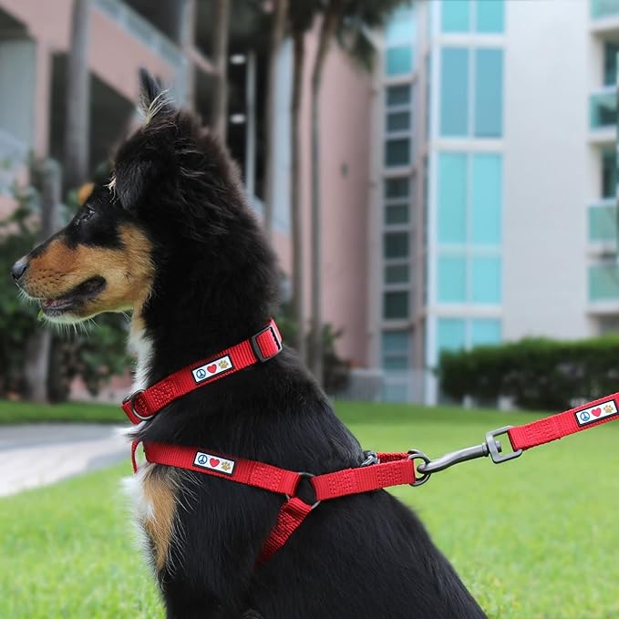 Pawtitas Solid Step-in Dog Harness – Adjustable No-Pull Vest for Puppies to Seniors, Safe & Comfortable XS Orchid