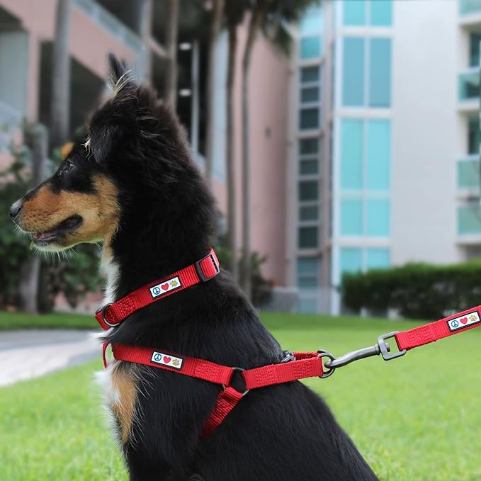 Pawtitas Solid Step-in Dog Harness – Adjustable No-Pull Vest for Puppies to Seniors, Safe & Comfortable M Marsala