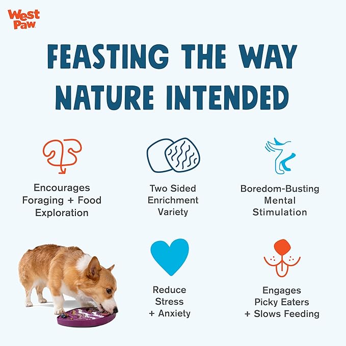 West Paw Seaflex Waves Feast Mat – All-in-One, Slow Feeder, Lick Mat – Encourages Foraging & Food Exploration - Engages Picky Eaters & Slow Feeding - Versatile – Easy to Clean, Non-Toxic - Mint