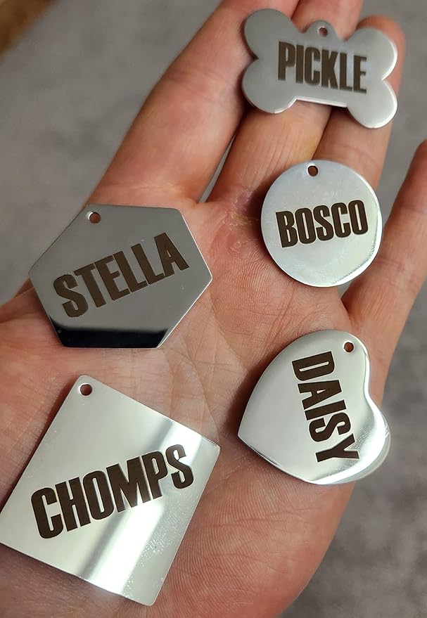 Dr. Fremont's Stainless Steel ID Dog Tags Engraved for Pets Personalized for Cat or Dog Collar Bold Font for Safety (Large, Bone)