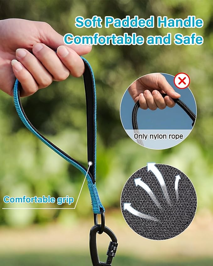Joytale Long Leash for Dog with Removable Padded Handle, Heavy Duty Lead for Large Medium Dogs,15FT/30FT/50FT/65FT Reflective Training Leash for Play, Camping, Backyard Tie Out, Blue, 30FT