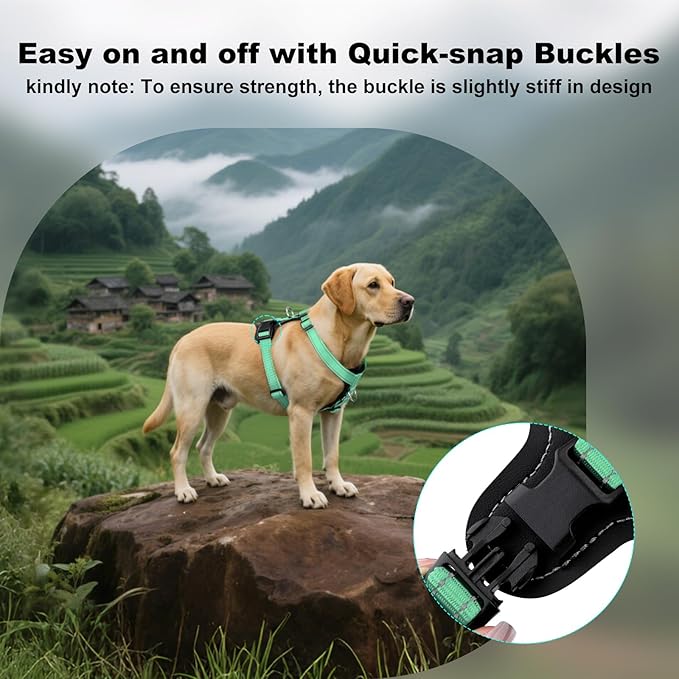 Plutus Pet Adjustable No Pull Dog Harness with Leather Accents, Heavy Duty Reflective Nylon Vest for Training, Hiking, Easy Walk Harness for Small, Medium, Large Dogs (Teal, XL)