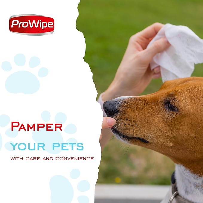 Pet Wipes, Dog Wipes, Cat Wipes, Grooming & Cleaning Wipes for Paws and Butt with Aloe Extract & Vitamins, Perfect as Eye, Ear Wipes, Suitable for Puppy, Kitten, Dogs and Cats, 4Pack x 40-160