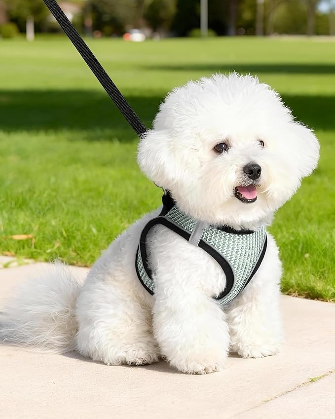 Dog Harness Small Sized and Leash Set, Step in Soft Light Puppy Vest, Breathable Mesh Pet Harness Suitable for Puppies and Kittens. (Light Green, XXS(Chest:10.24-11.81"))
