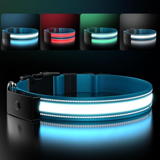 LED Dog Collar Rechargeable- Brightest Light Up Dog Collars - 1,600 Feet of High Visibility - Magnetic Charging - Glow in Dark Dog Lights for Night Walking, Blue M