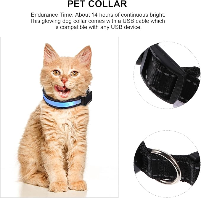 TOBBOMEY LED USB Rechargeable Dog Collar, Blue Small Glowing Pet Collar with Solar-Powered Flashing Light for Night Walking and Outdoor Safety