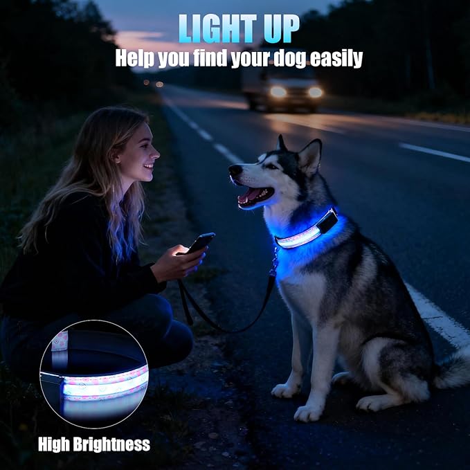 LED Dog Collar - Brightest Light Up Dog Collars - 1,600 Feet of High Visibility - Magnetic Charging - Dog Lights for Night Walking, Heart Extra Large
