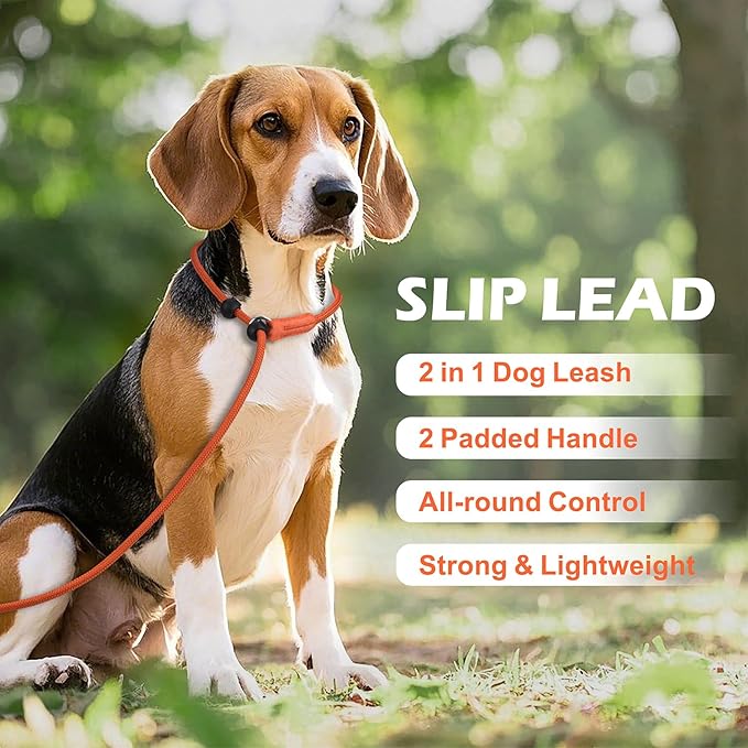 6FT Slip Lead Dog Leash with Double Padded Handle, Anti-Tangle Slip Leads for Dogs, Reflective Nylon No-Pull Training Leash for Small Medium Dogs, Orange