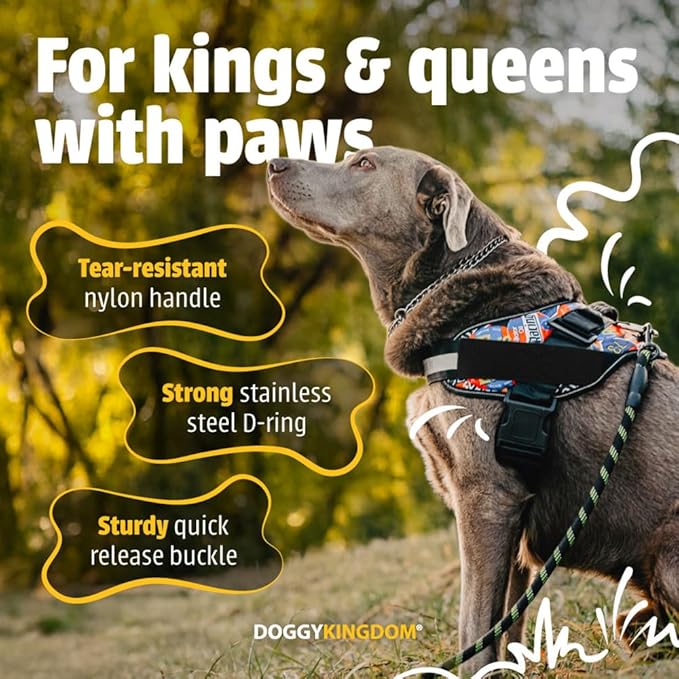 Non Pull Dog Harness with Patch Panels and Handle, Adjustable, Reflective, No Choke, Heavy Duty Easy On Service Dog Vest Harnesses for Medium Large Small Sized Dogs - Camouflage Pink, L