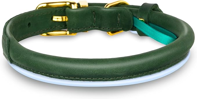 OOPSDOGGY Reflective Rolled Leather Dog Collar Adjustable Soft Padded Pet Collar for Small Medium Large Breed Dogs (Green, XL, 17"-21")