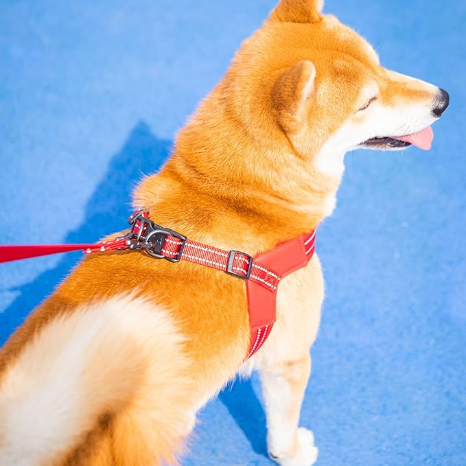 EXCELLENT ELITE SPANKER No Pull Dog Harness Step-in Adjustable Reflective Vest Soft Padded Easy Pet Chest Strap with Leash Clips for Small Medium Large Dogs Walking Training(Red-L)