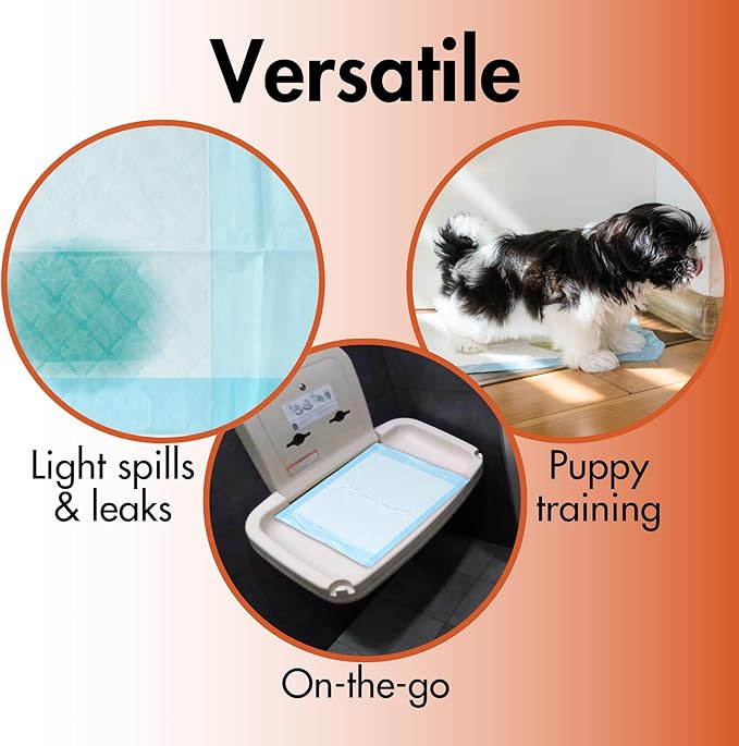 Caring Disposable Underpads 23 x 36 in, Moderate Absorbency Bed Pads, Chucks Pads, Puppy Pads, Baby Changing Pads, Incontinence Underpads for Adults, Pets, Babies, 50 Count Pack