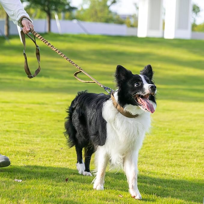 EXCELLENT ELITE SPANKER Tactical Dog Leash Heavy Duty 5-6FT Adjustable No Pull Military Bungee Dog Leash Elastic Leads Rope with 2 Padded Control Handle for Medium Large X-Large Dogs(MCP)