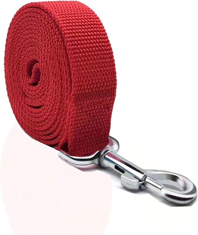 Nylon Dog Leash 16 Feet Long, Walking Training Dog Leashes for Medium Large Dogs（1" X 16 ft，Red）
