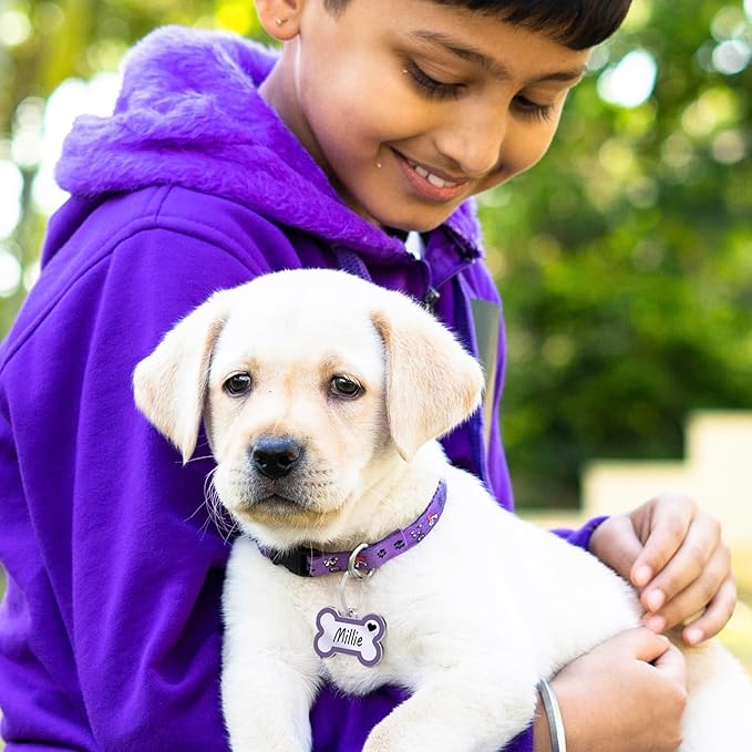 Personalized Deep Engraving Pet ID Tags Engraved Both Sides Bone Shape Custom Dog Tag Stainless Pet ID Tag Engraved Heart Dog Tags for Large Small Dogs Cats (Purple, Small)
