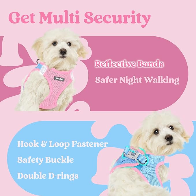 rabbitgoo Small Dog Harness, Step-in Soft Mesh Puppy Vest with Safety Buckle, Breathable Reflective Pet Harness for Large Dogs, Blue & Light Pink XXL