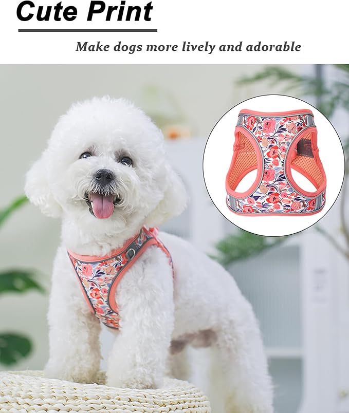 S Peach Flower Pattern Dog Harness and Leash Set,No Escape Puppy Harnesses for Training Walking，Breathable Adjustable Puppy Vest for Small Medium Dogs, Cats (Peach, S)