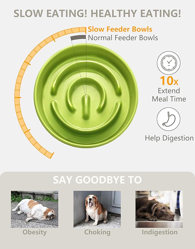 Ceramic Slow Feeder Bowls for Large Dogs, 3.0 Cups Slow Feeder for Fast Eaters, 48oz, 10in, Green