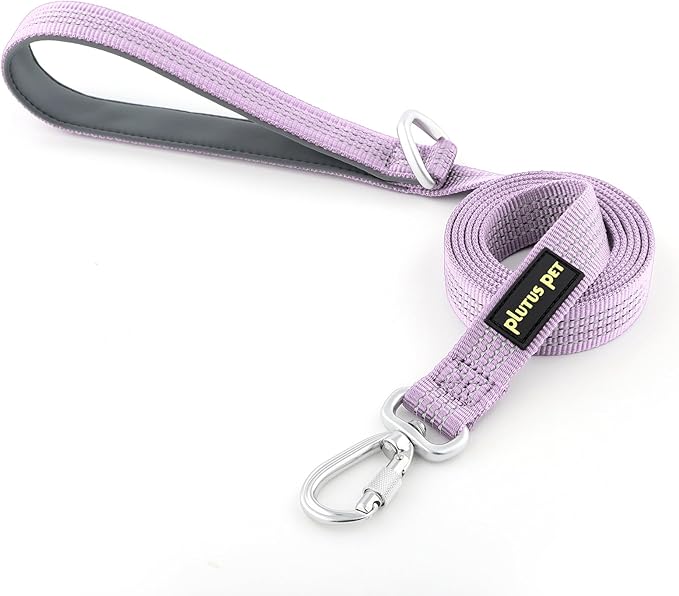 Plutus Pet Heavy Duty Dog Leash with Lockable Aluminum Carabiner, 4/6 Feet Long, Double-Sided Reflective Nylon, Padded Handle, for Puppy, Small, Medium and Large Dogs (Lilac Purple, 1" x 6')