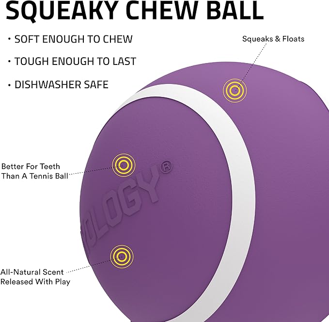 Playology Dog Toys | Squeaky Chew Ball - Bouncy Durable Floating Fetch Ball for Dogs | Medium Bacon Scented Toy - Easy to Clean and Made from Non Toxic Materials