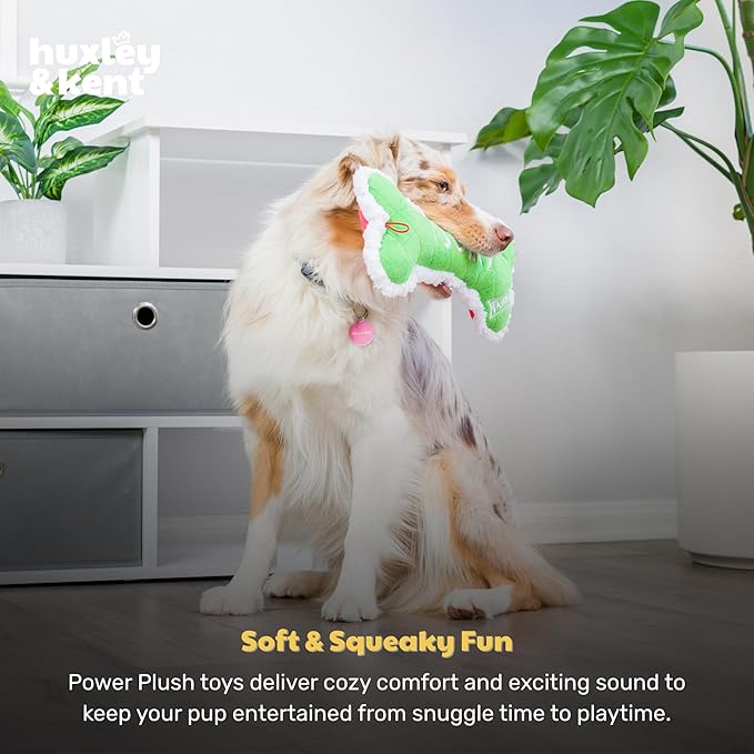 Huxley & Kent Funny Dog Toy w/Squeaker – Holiday Power Plush Squeaky Dog Toys for Small, Medium & Large Dogs – Soft Stuffed Animal for Indoor Play & Fetch - Me Did It, I Sorry Bone, Small