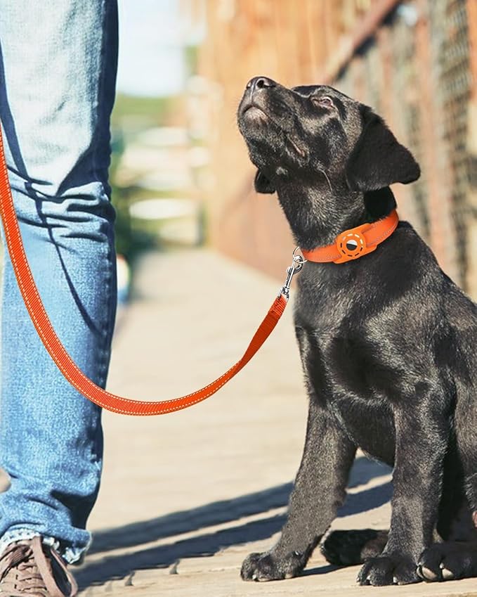 Erbine 6FT Reflective Nylon Dog Leash with Soft Padded Handle for Walking, Running and Training, Supports Small Medium and Large Dogs (Orange, 3/4Inch Wide)