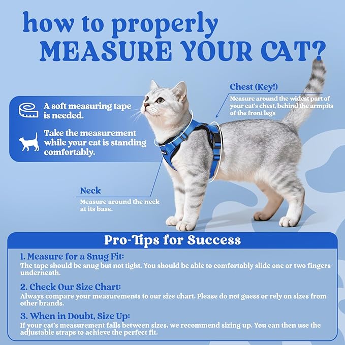 rabbitgoo Cat Harness and Leash for Walking, Escape Proof Soft Adjustable Vest Harnesses for Cats, Easy Control Breathable Reflective Strips Jacket, Navy Blue, M
