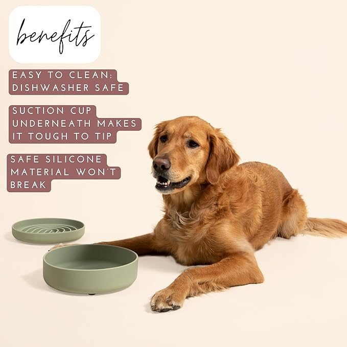Should We Go? Dog Water Bowl - The Perfect Dish No-Spill, Less Mess Non-Tippable Water & Food Bowl, Pure Silicone with Suction Cup Fits 8 Cups 9.5" Across x 2.5" Tall, Ideal for All Pets, Large-Spruce