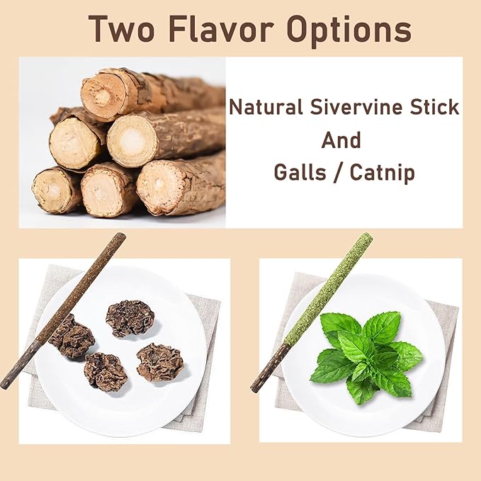 Maiguangta Natural Silvervine Catnip Chew Sticks (12 PC) - Edible Dental Chews for Cats & Kittens, Teething Relief Teeth Cleaning Toys