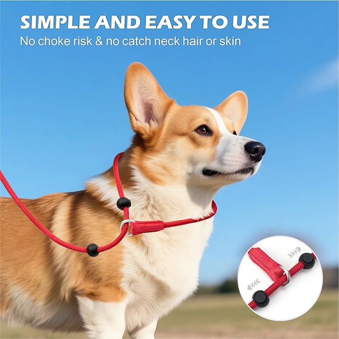 6FT Slip Lead Dog Leash with Double Padded Handle, Anti-Tangle Slip Leads for Dogs, Reflective Nylon No-Pull Training Leash for Small Medium Dogs, Red