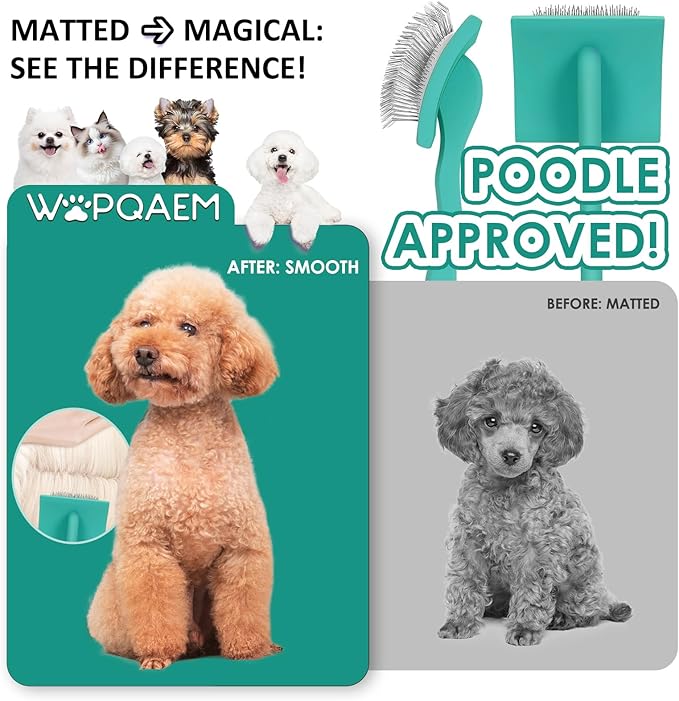 Slicker Brush for Dogs & Cats, Large Dog Brush for Goldendoodles Poodles Doodles Bernedoodles, Long Pin Grooming Tools to Dematting & Reducing Tangles and Fluff, Green