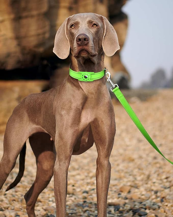 Erbine 4FT Reflective Nylon Dog Leash with Soft Padded Handle for Walking, Running and Training, Supports Small Medium and Large Dogs (Green, 1 Inch Wide)