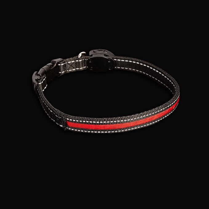 Sherry Kline LED Light-Up Pet Collar - USB Rechargeable - Flashing Glow in The Dark Size Large, Color: Red