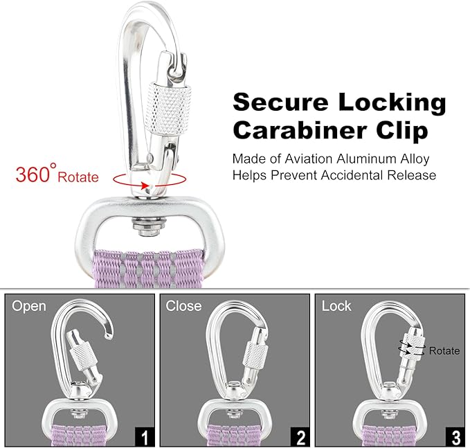 Plutus Pet Heavy Duty Dog Leash with Lockable Aluminum Carabiner, 4/6 Feet Long, Double-Sided Reflective Nylon, Padded Handle, for Puppy, Small, Medium and Large Dogs (Lilac Purple, 1" x 6')