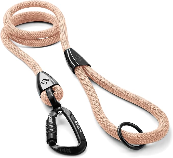 MADE TO ROAM Premium Explorer Leash - Climbing Rope Leash with Autolocking Aviation Aluminum Carabiner - Carolina Blooms, 4ft