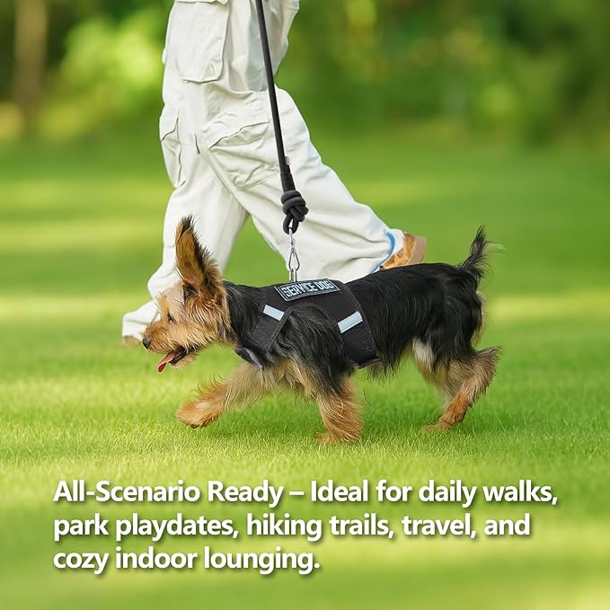 Dog Harness for Puppy – Adjustable Reflective Easy Put On Soft Mesh Vest for Small Dogs with 2 Patches (Black,L)