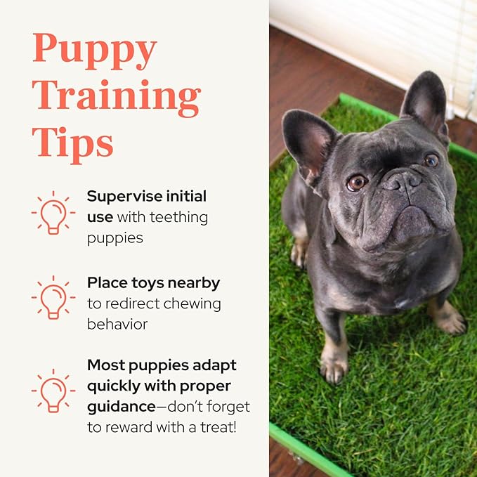 DoggieLawn Real Grass Puppy Pee Pads - Potty Training Pads for Dogs & Puppies - Indoor Grass Dog Potty for Apartments & Bad Weather - Natural Living Grass - XLarge 24 x 48 Inches - Made in USA